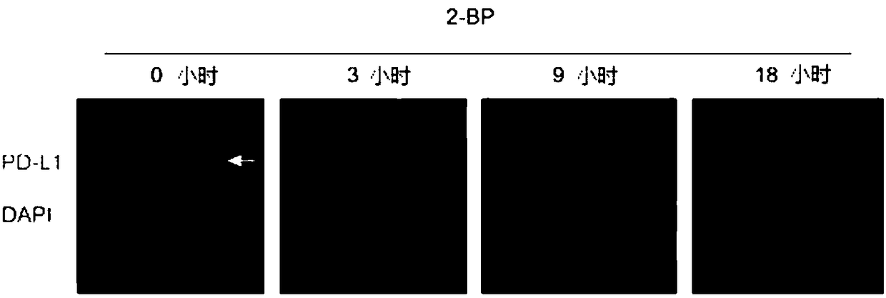 PD-L1 inhibitor and preparation method thereof