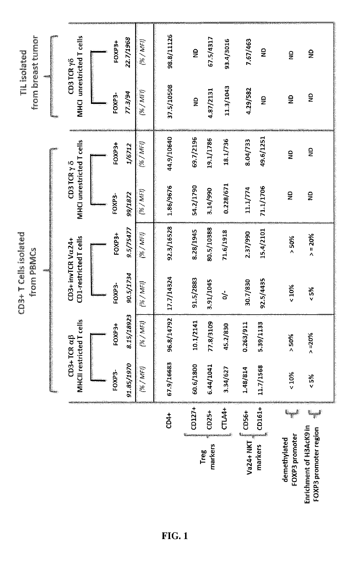 Immunotherapeutic uses of ex vivo generated foxp3+ regulatory t cells