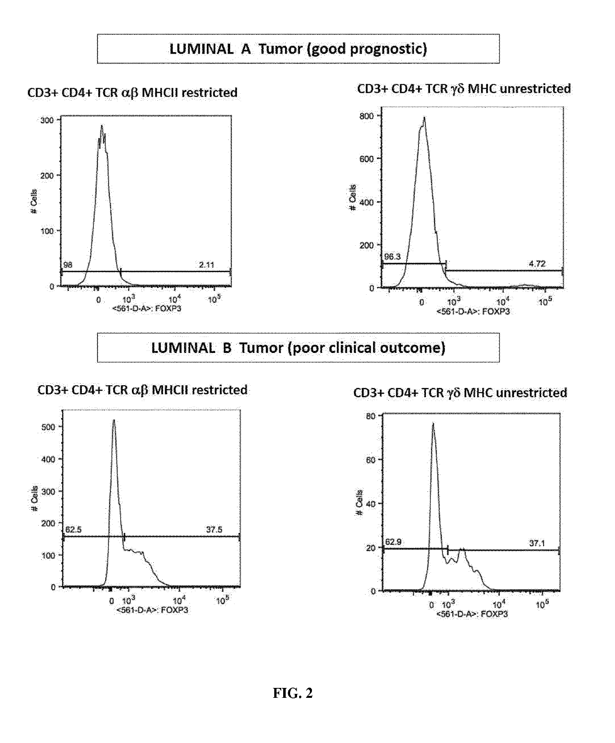 Immunotherapeutic uses of ex vivo generated foxp3+ regulatory t cells