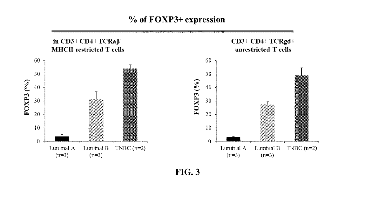 Immunotherapeutic uses of ex vivo generated foxp3+ regulatory t cells