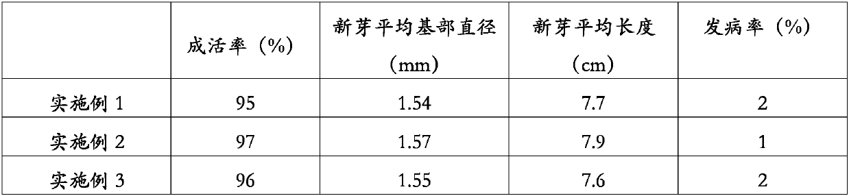 A kind of cultivation method of apple dry rot resistance