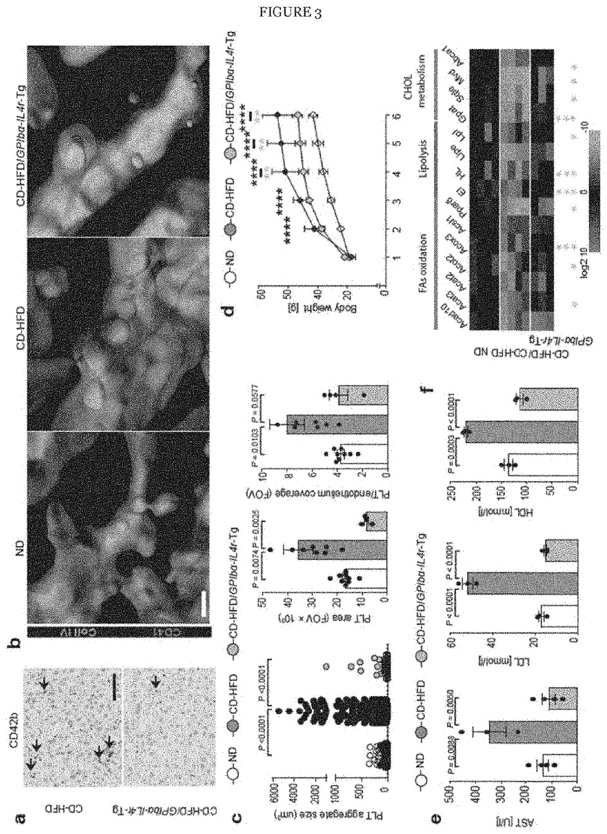 Treating non-alcoholic steatohepatitis (NASH) and hepatocellular carcinoma (HCC) with compounds binding the ectodomain of platelet glycoprotein ib (GPIB) alpha