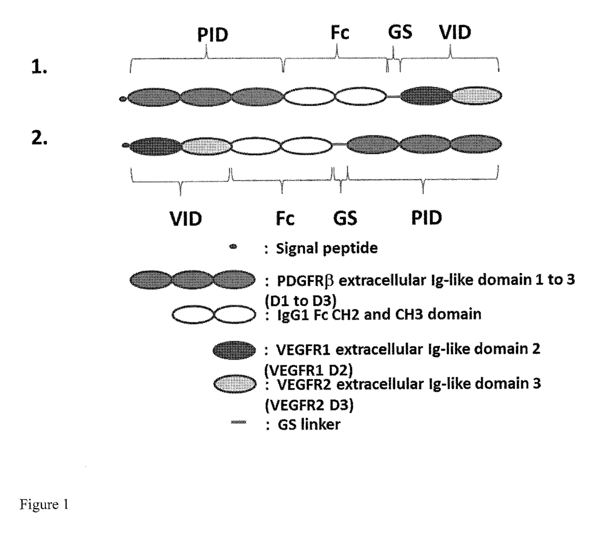 Fusion protein comprising a ligand binding domain of VEGF and pdgf