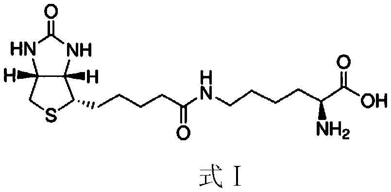 Kit used for detecting enzyme activity of biotin enzyme