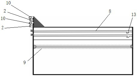 Device for separating collected fish eggs and fish larvae