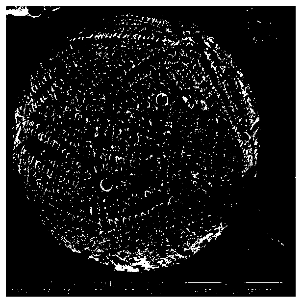 A method and product for improving the microstructure and mercury removal performance of magnetic beads in fly ash