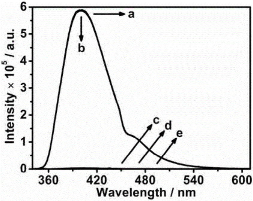 Fluorescence detection method for hydrolase activity
