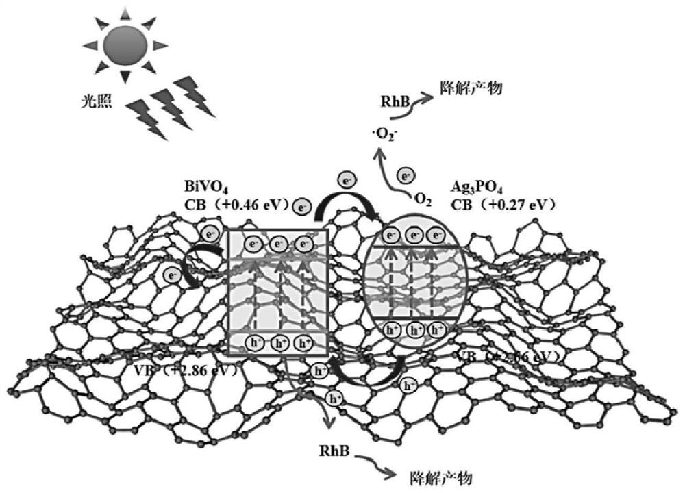 Bismuth vanadate@silver phosphate/graphene oxide composite photocatalyst as well as preparation method and application thereof