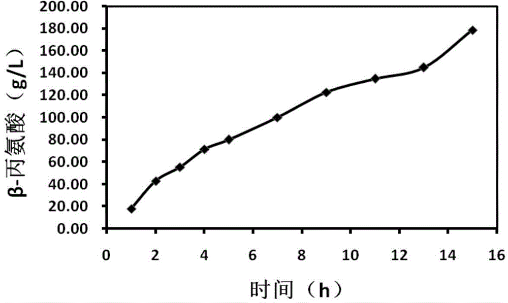 Engineering bacteria and method for producing beta-alanine