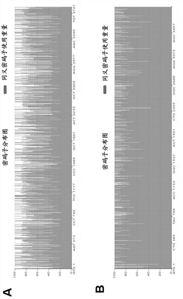 Adenovirus vector recombinant new coronavirus B.1.617.2 variant vaccine and application thereof