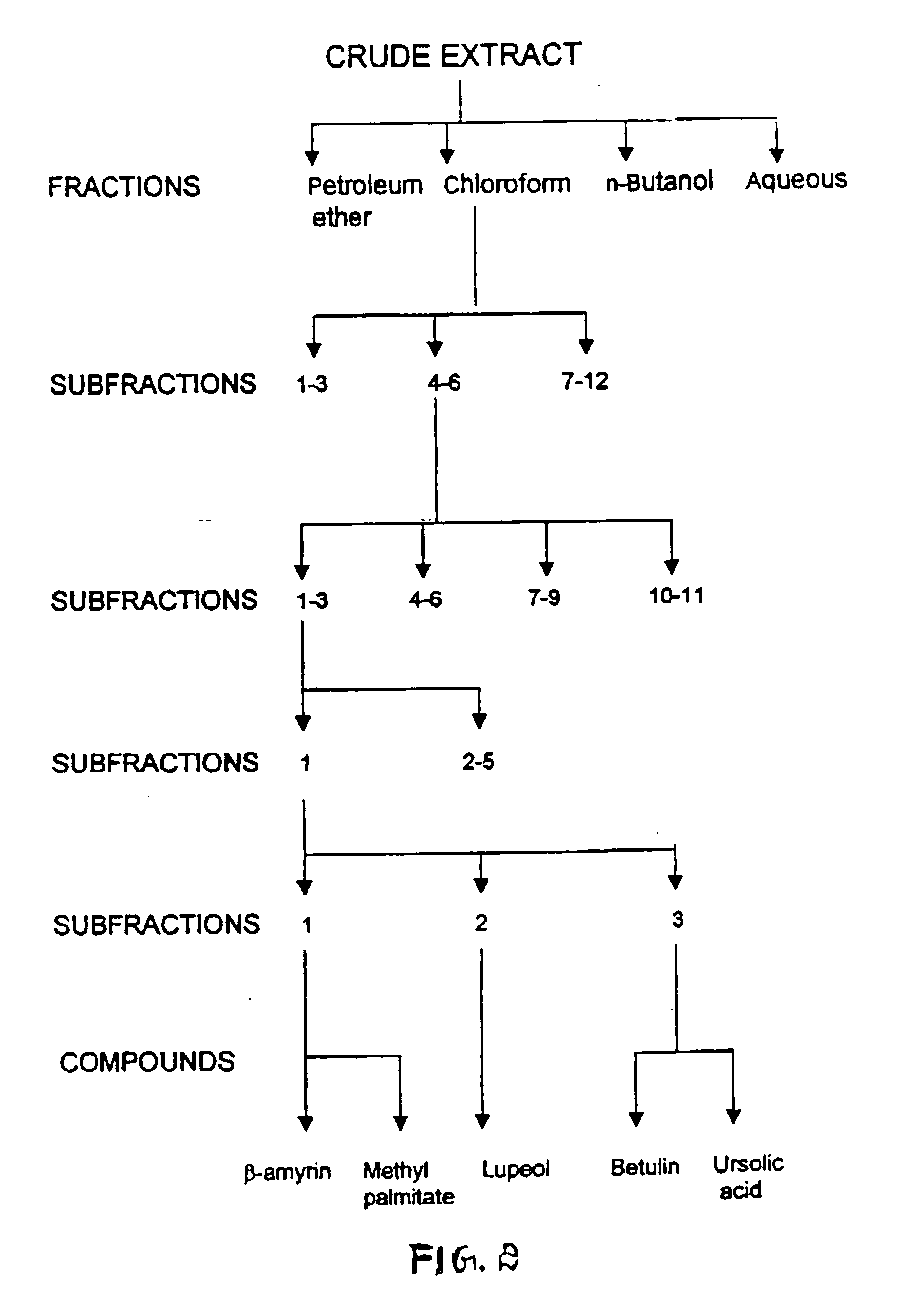 Method for extraction and purification of biologically useful molecules from a mangrove plant Salvadora persica L