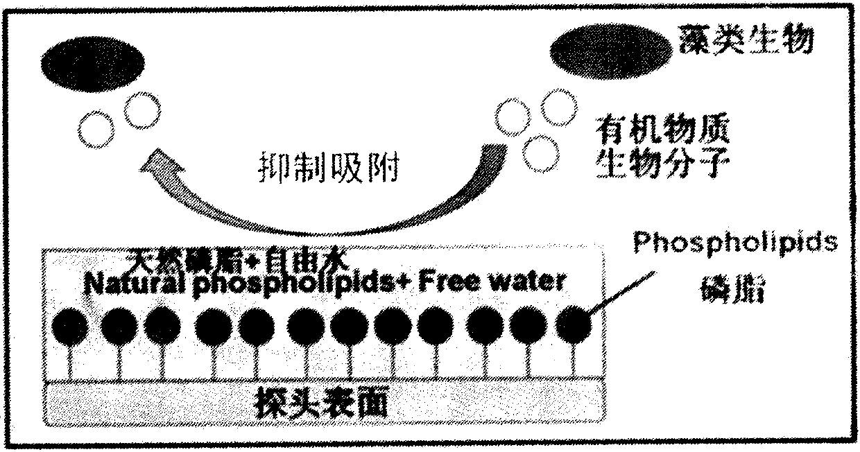 Process for preparing probe for monitoring water quality of bionic coating containing phospholipid polymers in real time