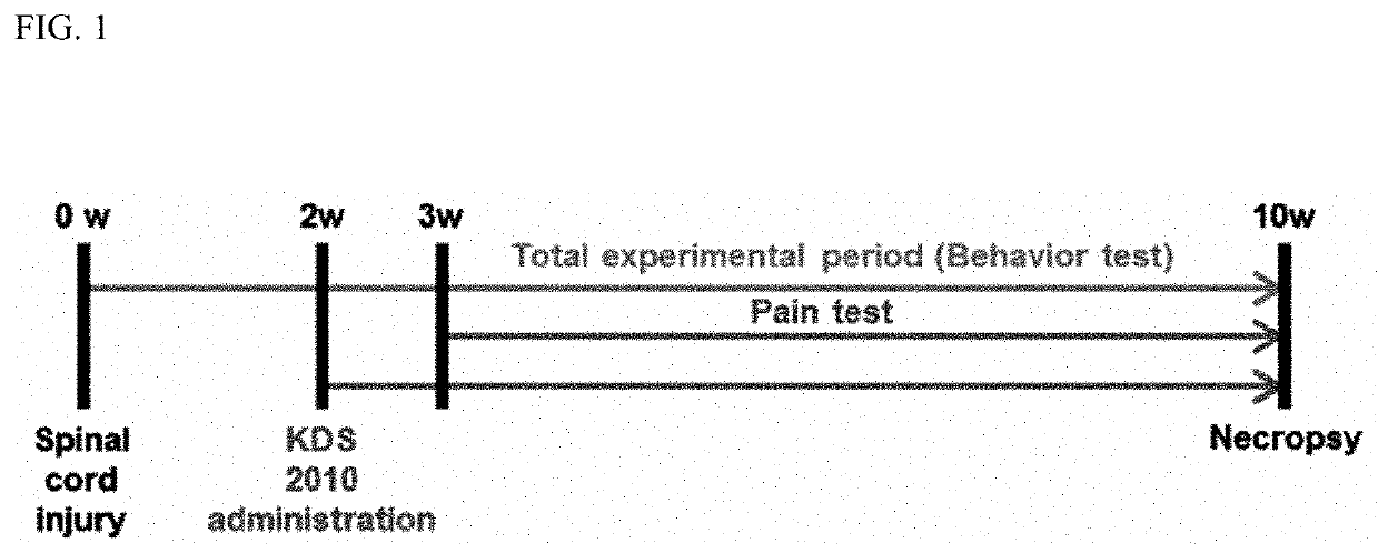 Composition for preventing and treatment of spinal cord injury