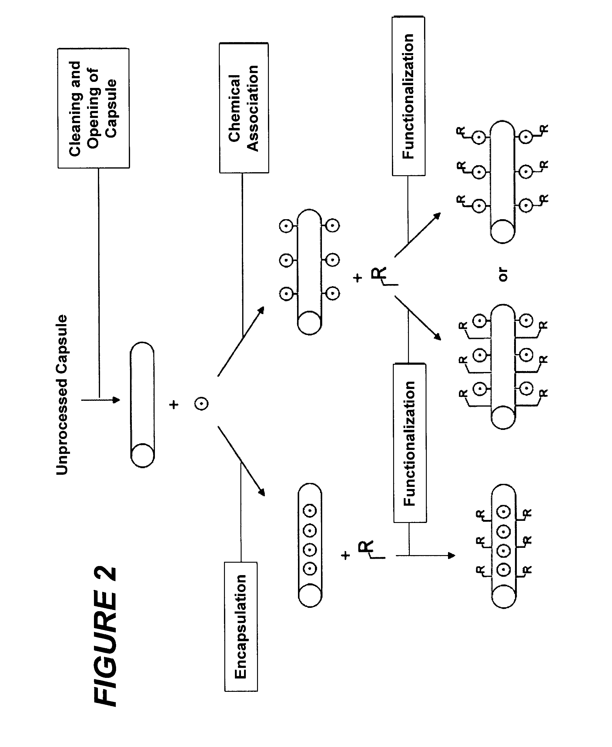 Raman scattering nanoprobes