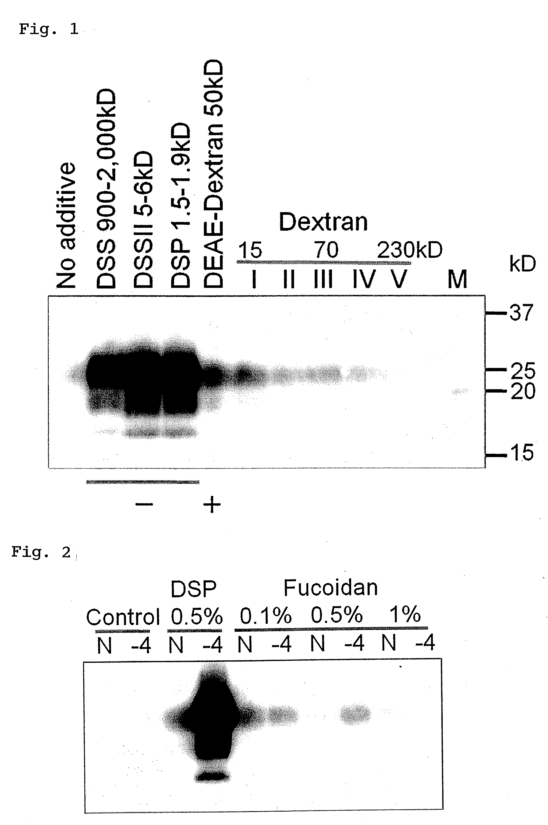 Method for efficiently  amplifying abnormal prion protein derived from bse