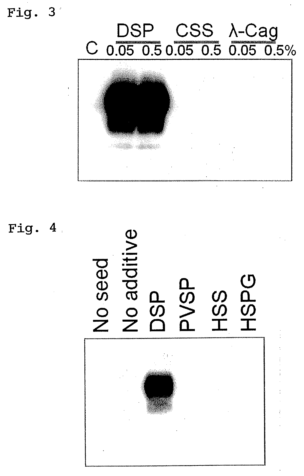 Method for efficiently  amplifying abnormal prion protein derived from bse
