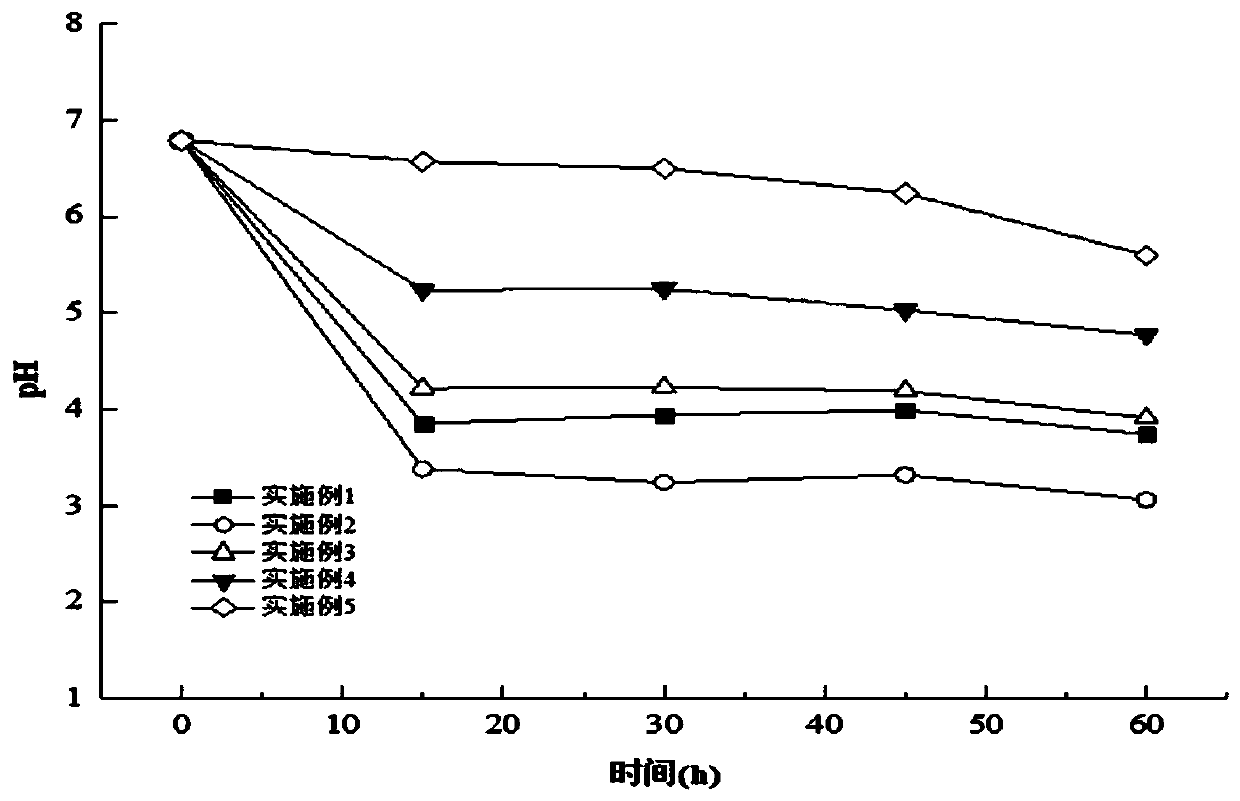 Processing method of instant in-sour-soup fish capable of being stored at room temperature