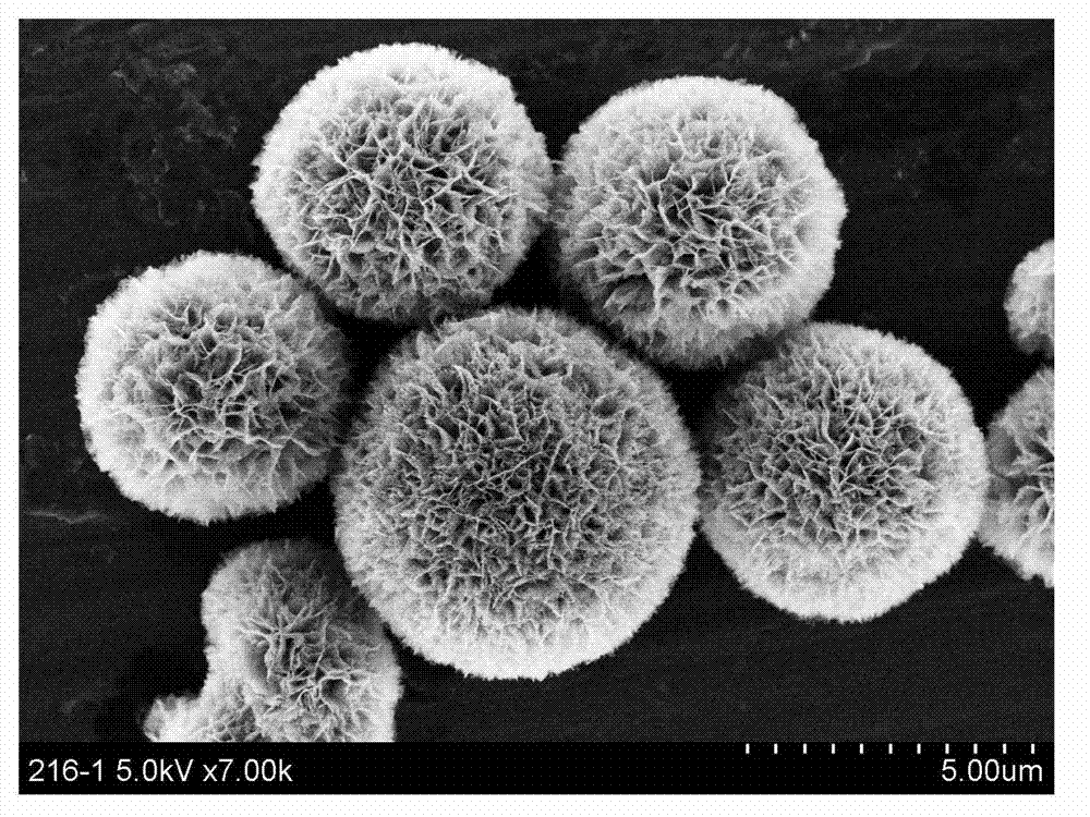 Method for preparing porous hybridization NiO/Co3O4 electrode material of super capacitor