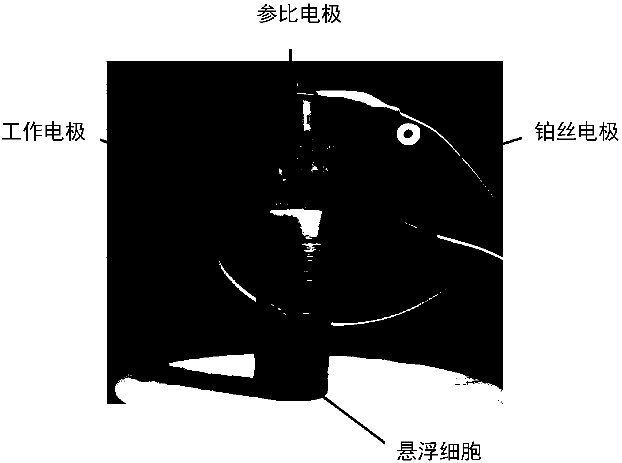 Double-signal bioelectrochemical method for detecting water toxicity