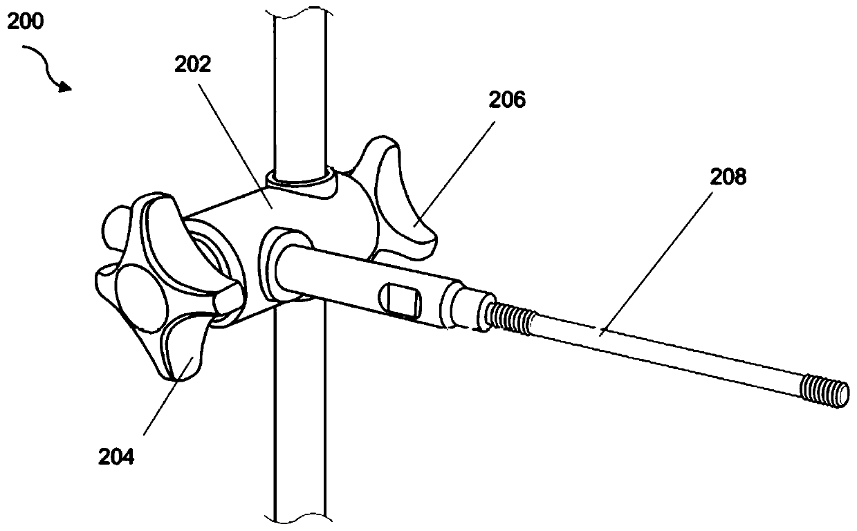 Animal femoral surgery positioning and fixing device