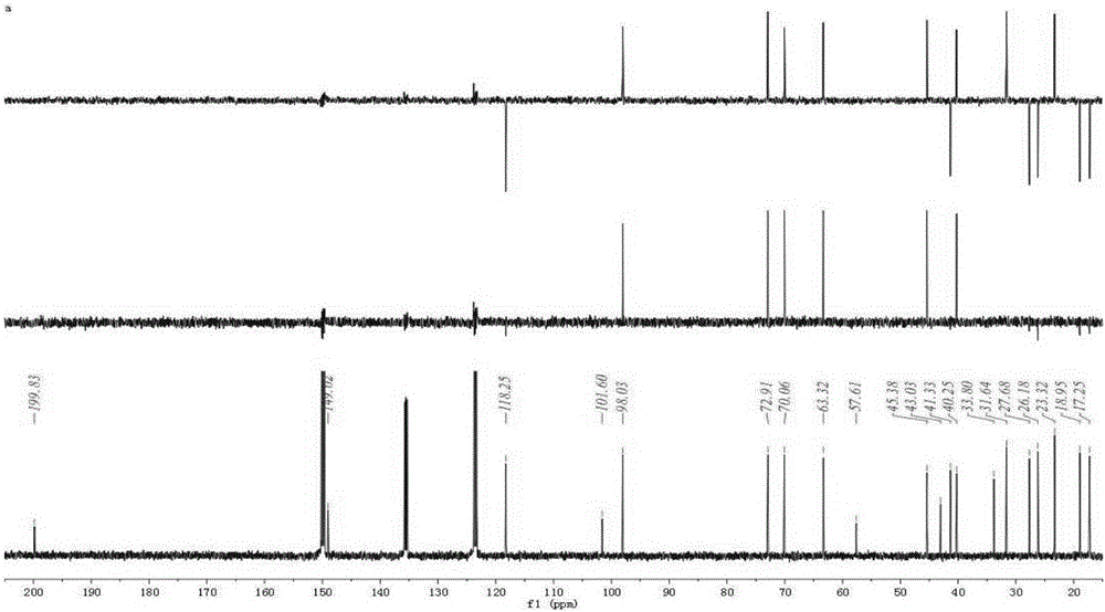 Application of xerophilusin B in the preparation of products for inhibiting tumor growth