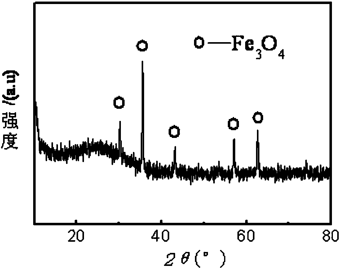 A kind of ferromagnetic glass fiber and its preparation method and application