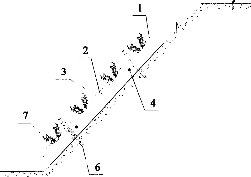 Repair method of hard slope submerged plants