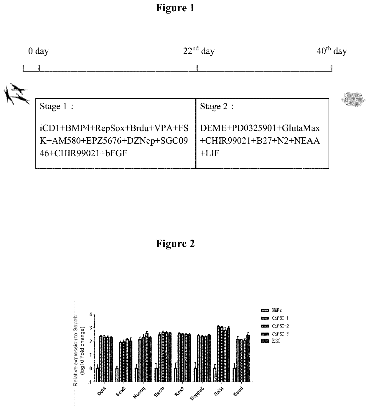 Culture system for chemically inducing generation of pluripotent stem cells and chemical reprogramming method using same