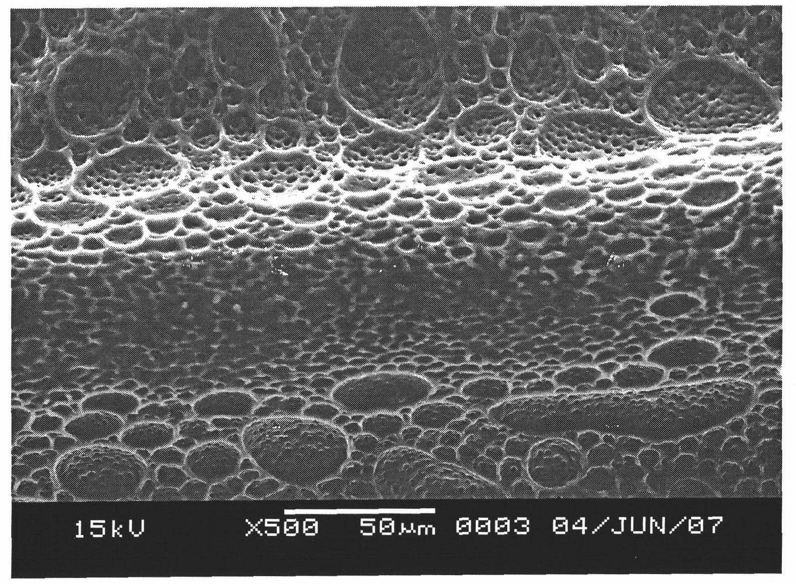 Complex fiber with high conductivity, high elasticity and stress sensing property and preparation thereof