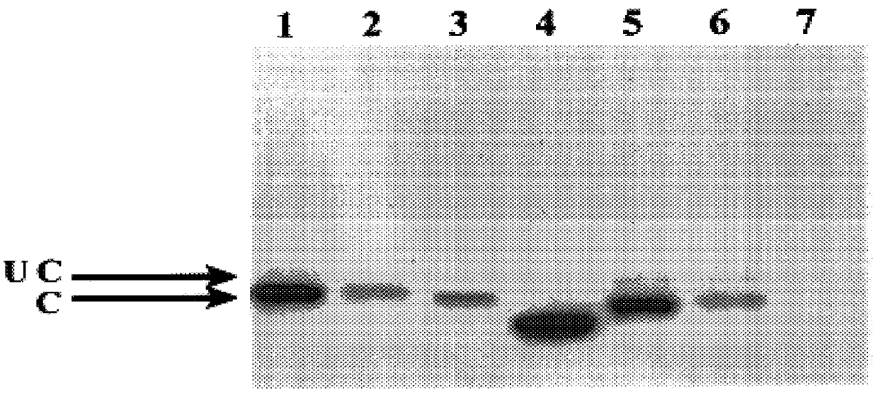 Protein fragments for use in protein targeting
