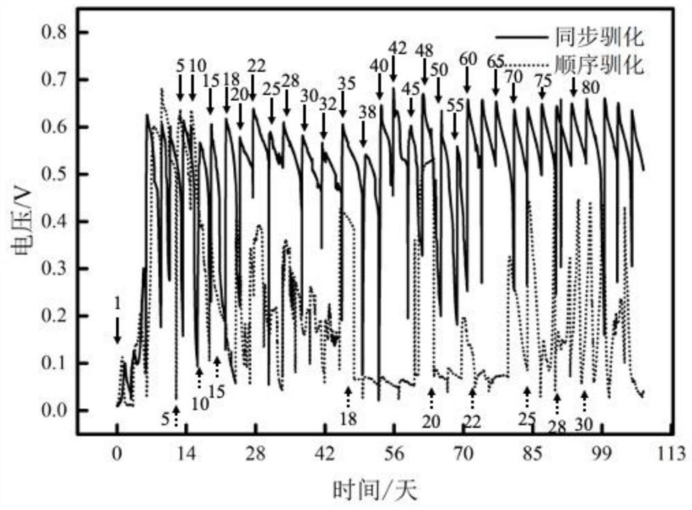 Enrichment method of electroactive biofilms for antibiotic wastewater treatment