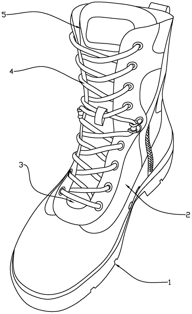 Shoelace concealment structure, shoe tongue with shoelace concealment structure and shoe with shoelace concealment structure
