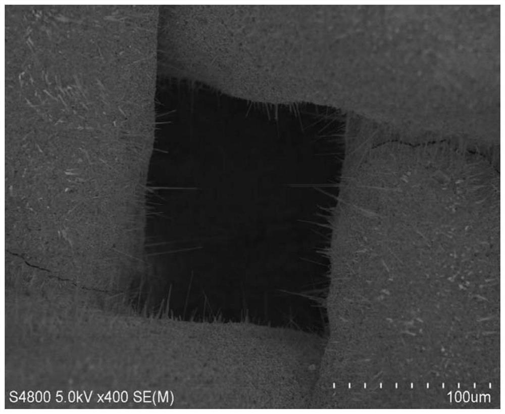 Preparation method of ruthenium-iridium-titanium ternary metal mesh electrode containing nano tip structure
