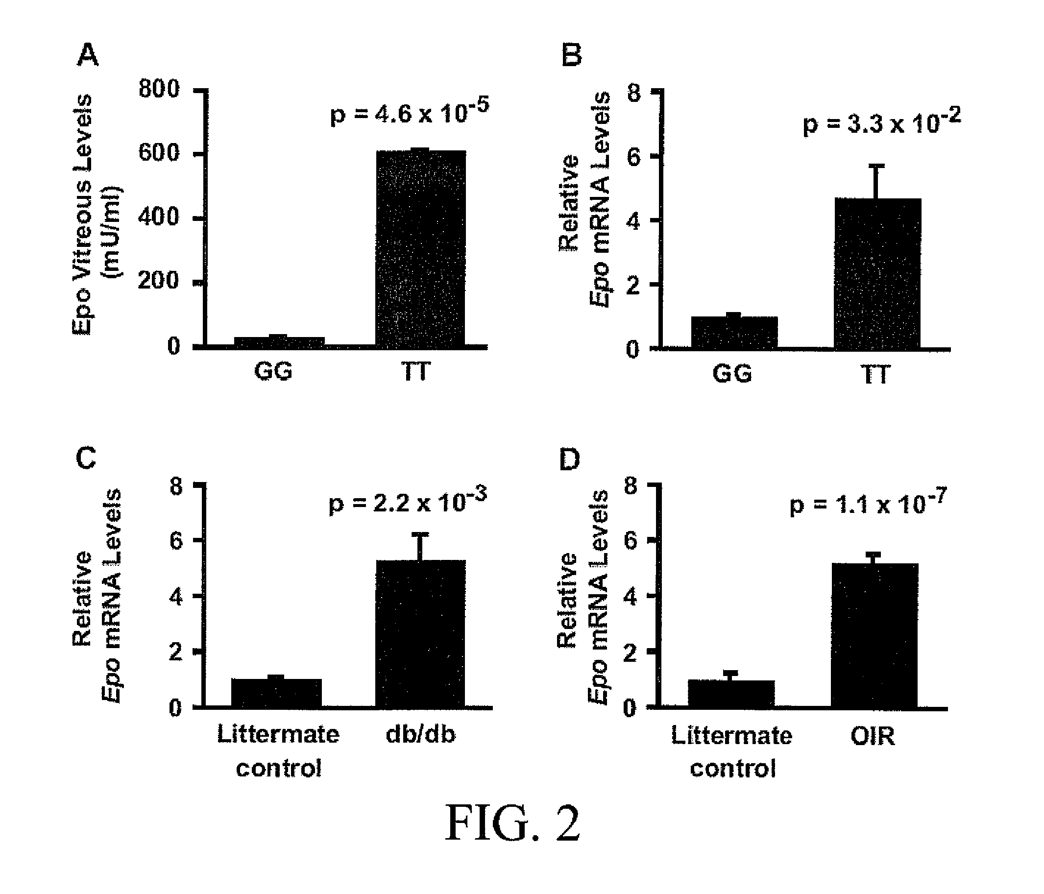 Compositions and Methods For Diagnosing and Treating Diabetic Micro Vascular Complications