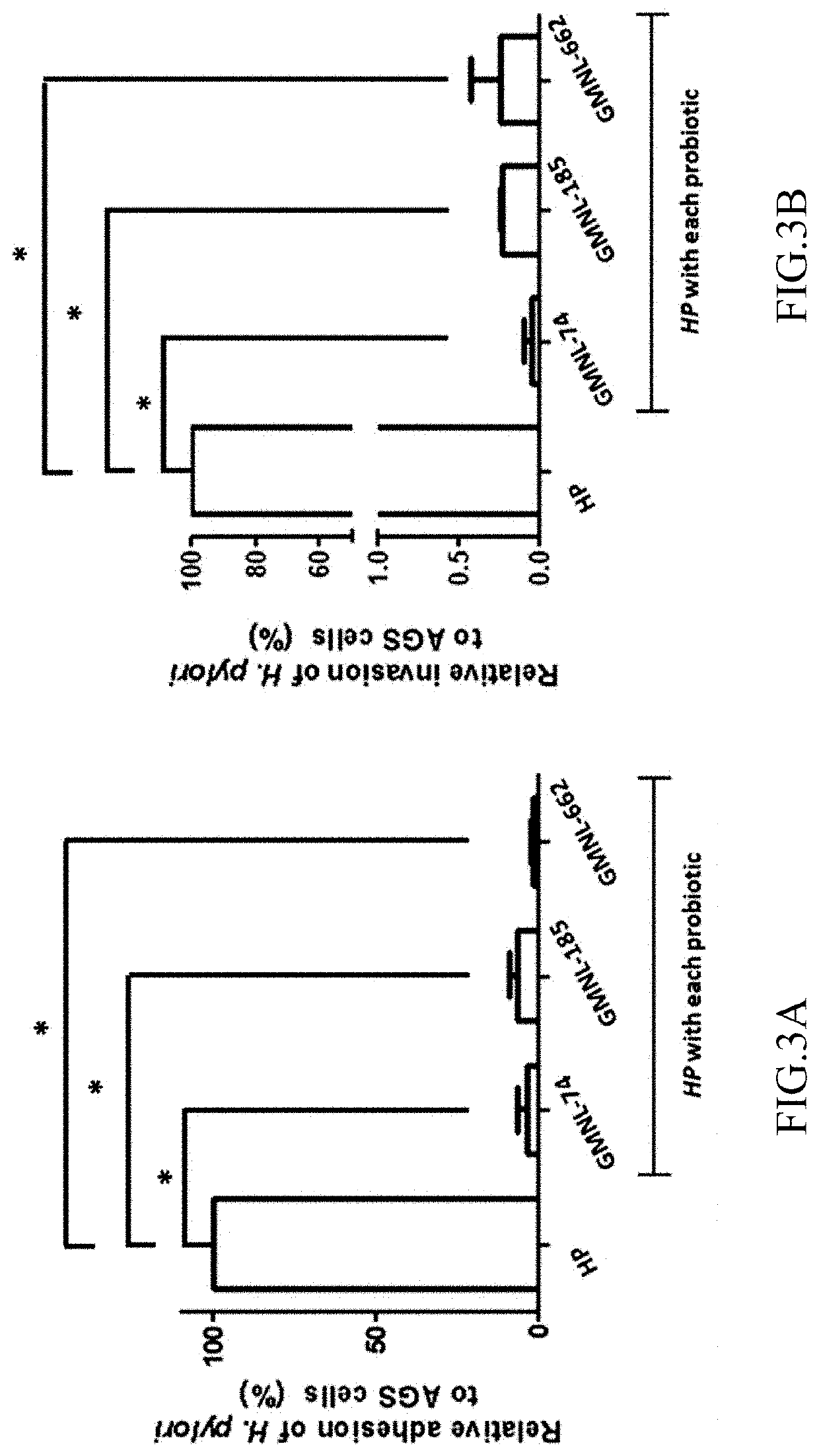Lactobacillus composition for inhibiting gastritis induced by gastric helicobacter pylori and use thereof