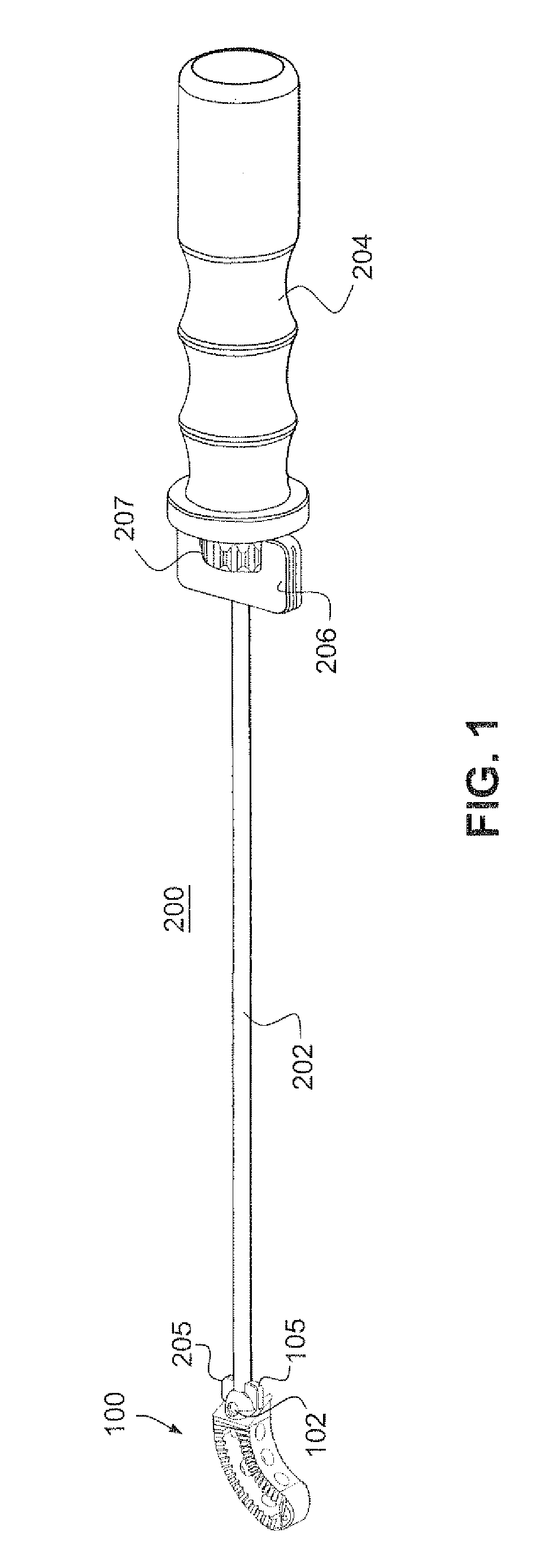 Spine implant insertion device and method