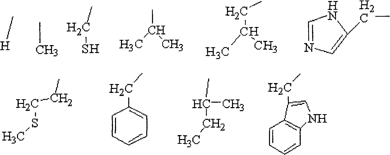 Aminoacid acidamide compounds and preparation thereof