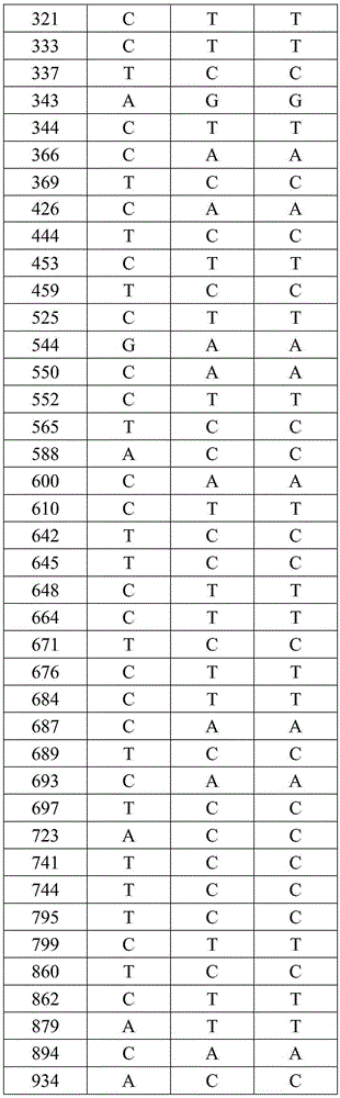 Molecular biological method for quickly identifying Budorcas taxicolor