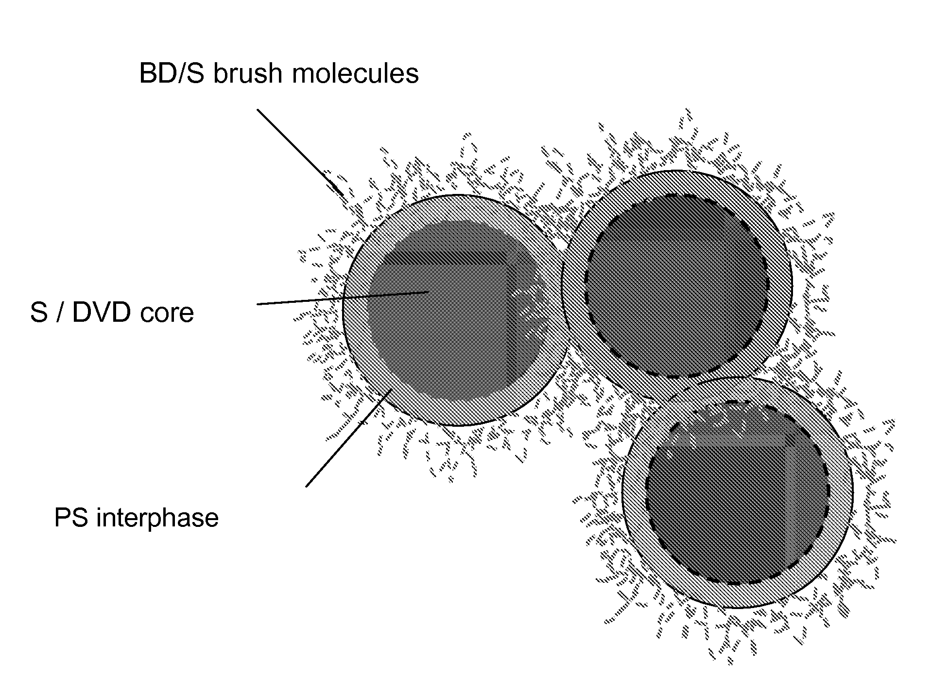 Polymeric core-shell nanoparticles with interphase region