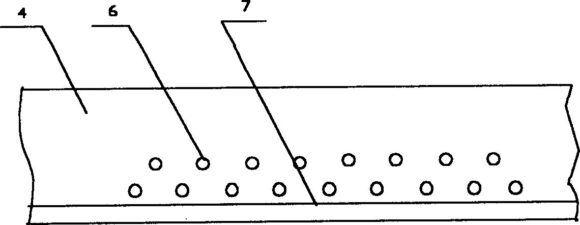 Method for lowering seepage line of dam by adopting osyris wightiana guide filtration