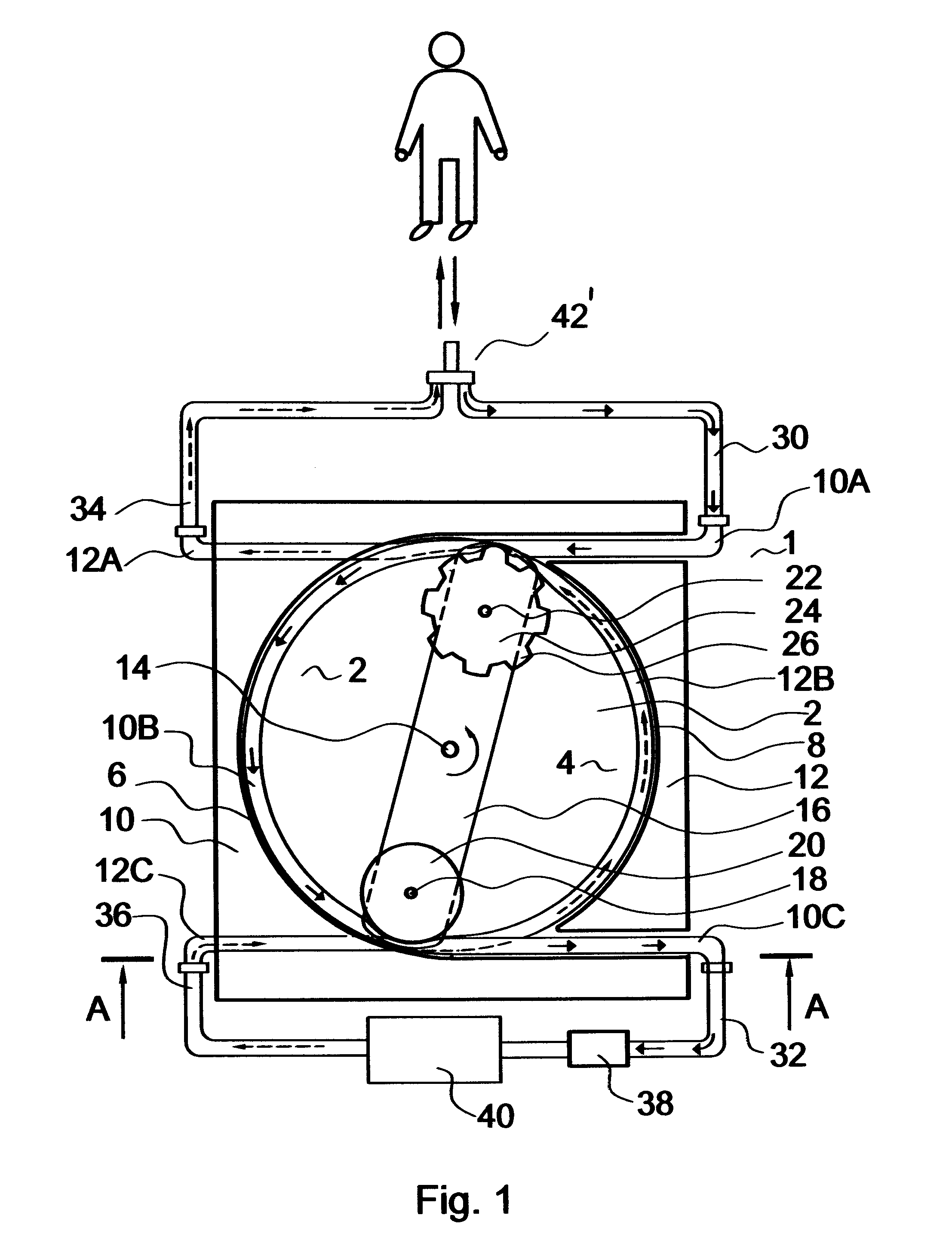 Single-needle dialysis sytem utilizing a peristaltic pump with pumping and occluding rollers