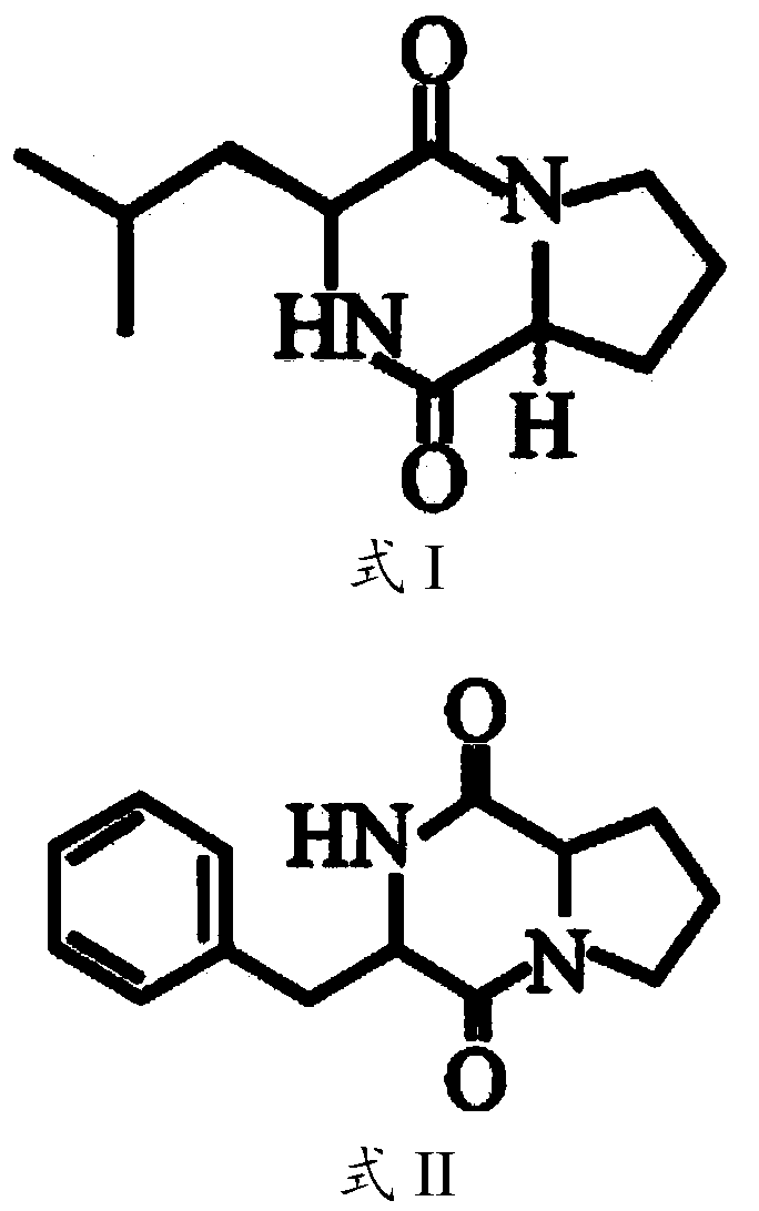 A strain of Burkholderia tropicalis and its application