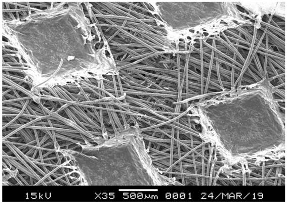 A functional masterbatch for strengthening and toughening polylactic acid fiber, preparation method thereof, and strengthening and toughening polylactic acid material