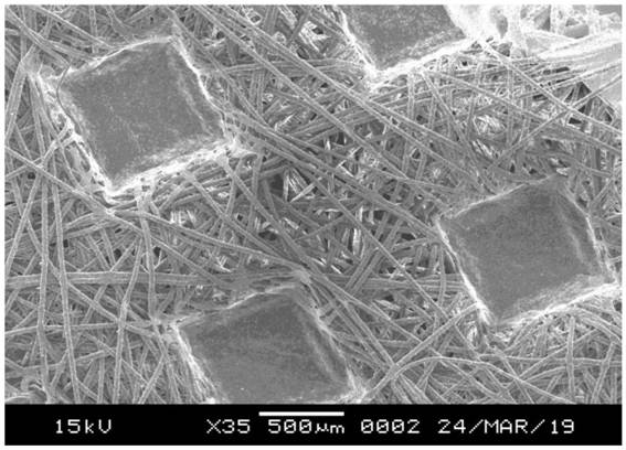 A functional masterbatch for strengthening and toughening polylactic acid fiber, preparation method thereof, and strengthening and toughening polylactic acid material