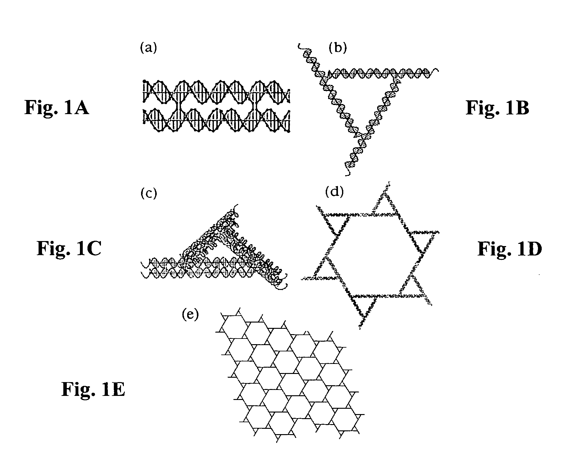 Polygonal nanostructures of polynucleic acid multi-crossover molecules and assembly of lattices based on double crossover cohesion