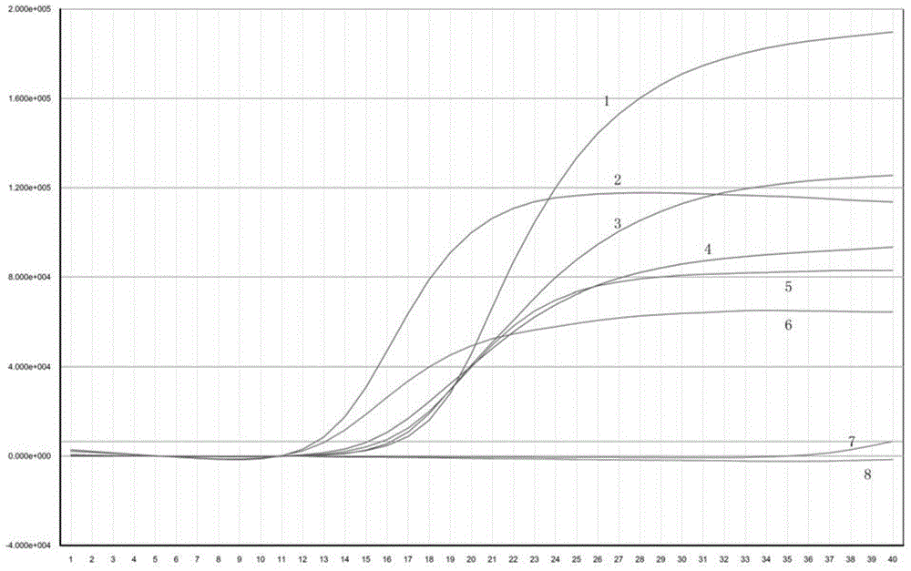 Method, primer, probe and kit for detecting cronobacter sakazakii