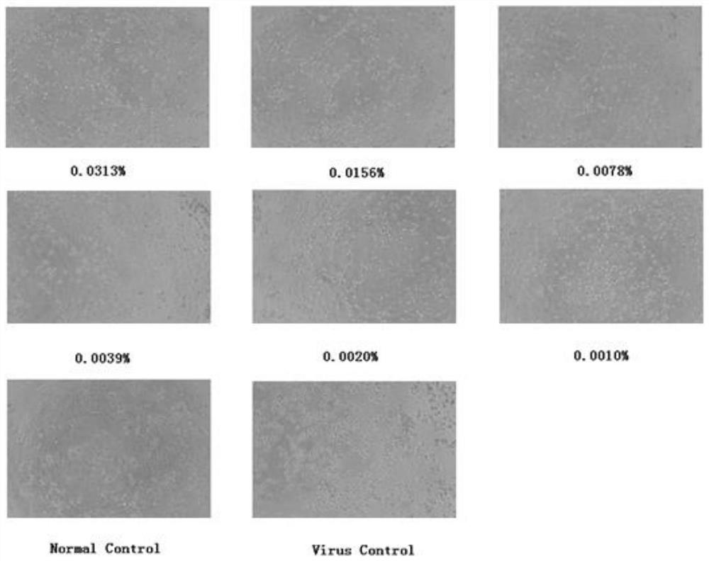 Medicine volatile oil composition and preparation method and application thereof