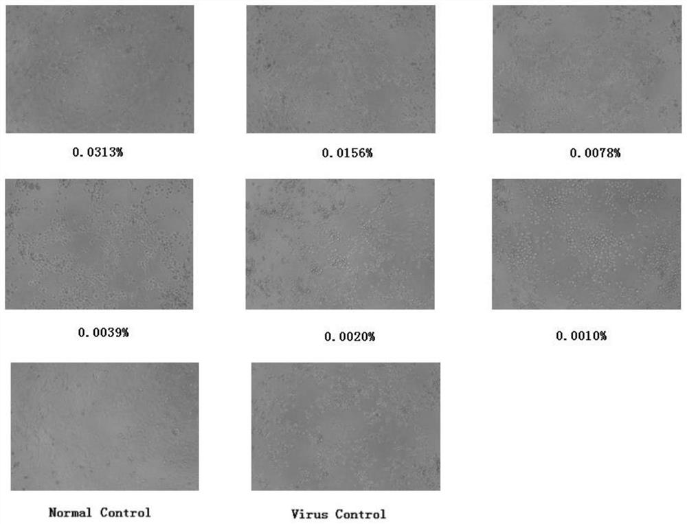 Medicine volatile oil composition and preparation method and application thereof