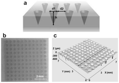 A microneedle patch for intelligently regulating blood sugar and its preparation method