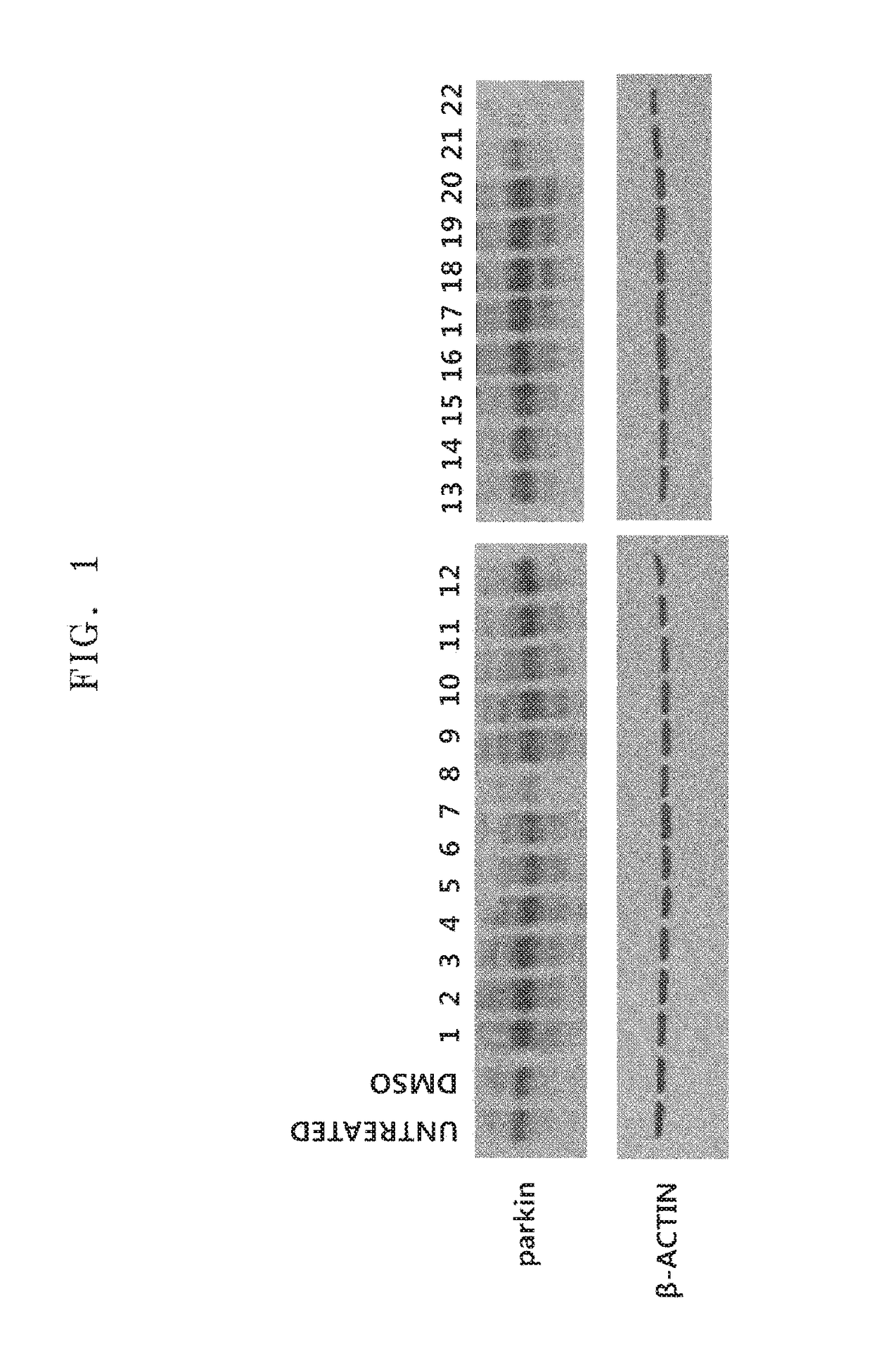 Substance inducing expression of parkin polypeptide and use thereof